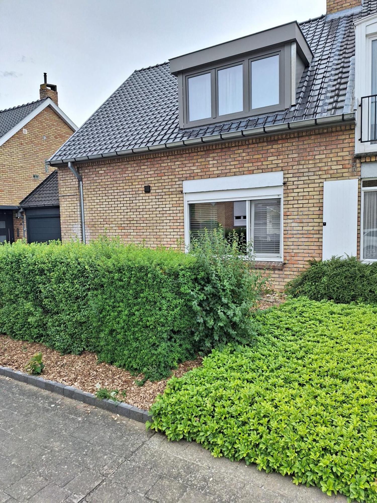 Our Lily House, Een Gezellig Familiehuis In Rustige Omgeving Bruges Exterior foto